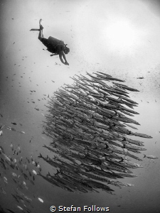 The Chase. Sail Rock, Thailand-EM5-Panasonic 8mm-iso250-f... by Stefan Follows 